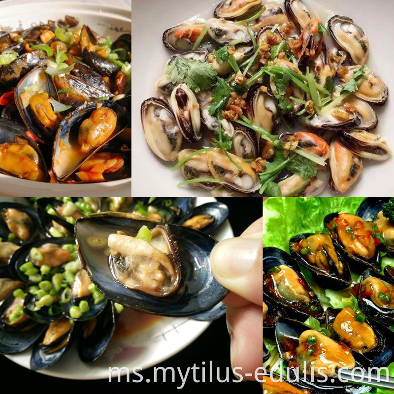 mussle hijau masak segar beku berkualiti tinggi